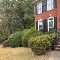 Front yard shrubs and landscaping