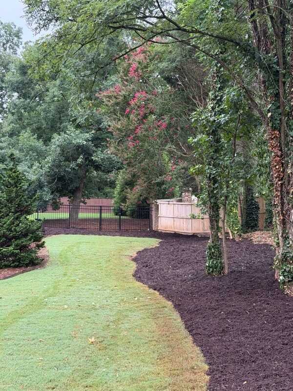 Freshly mulched landscaped yard