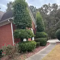 Home side yard landscaping